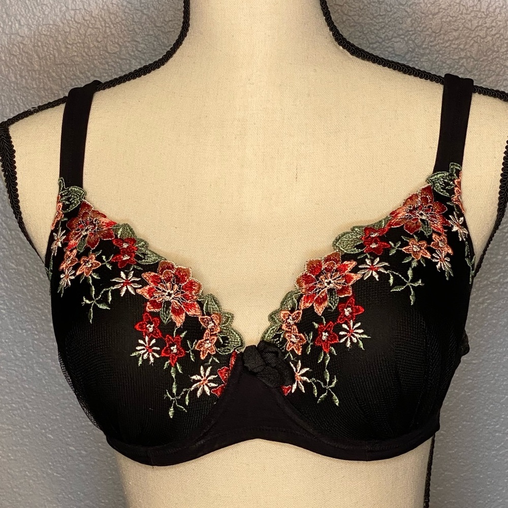 Embroidered lace bra